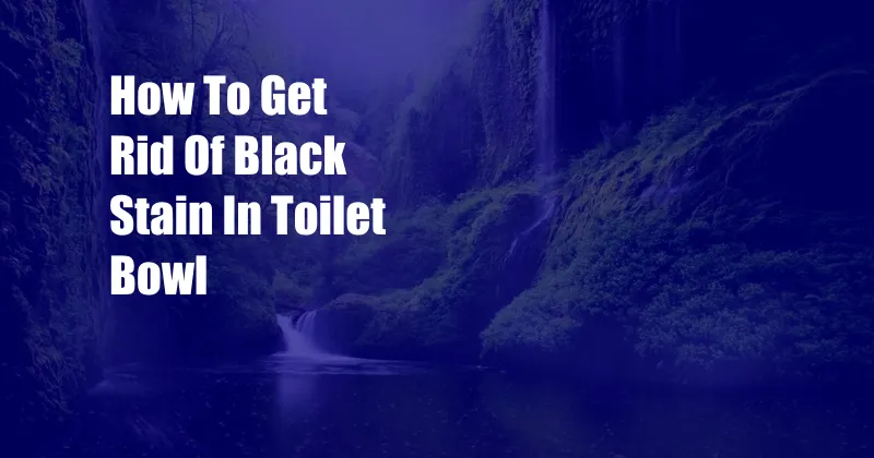 How To Get Rid Of Black Stain In Toilet Bowl