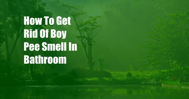 How To Get Rid Of Boy Pee Smell In Bathroom