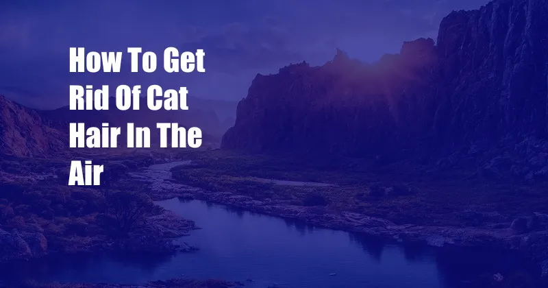 How To Get Rid Of Cat Hair In The Air