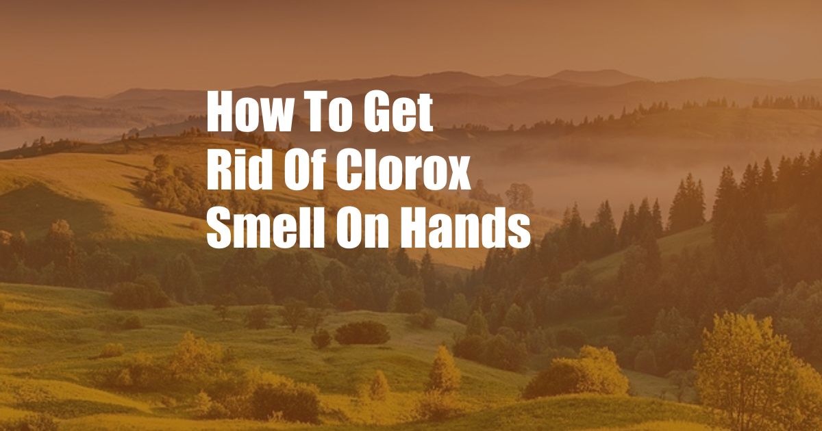 How To Get Rid Of Clorox Smell On Hands