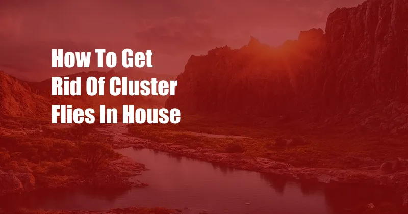 How To Get Rid Of Cluster Flies In House