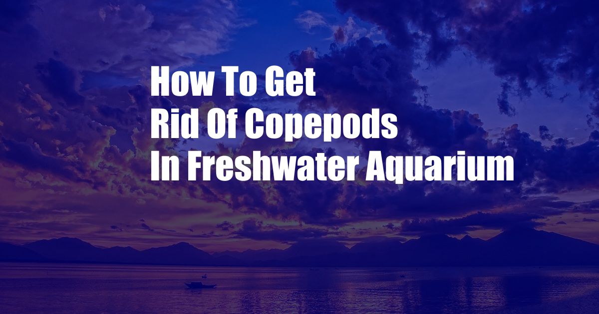 How To Get Rid Of Copepods In Freshwater Aquarium