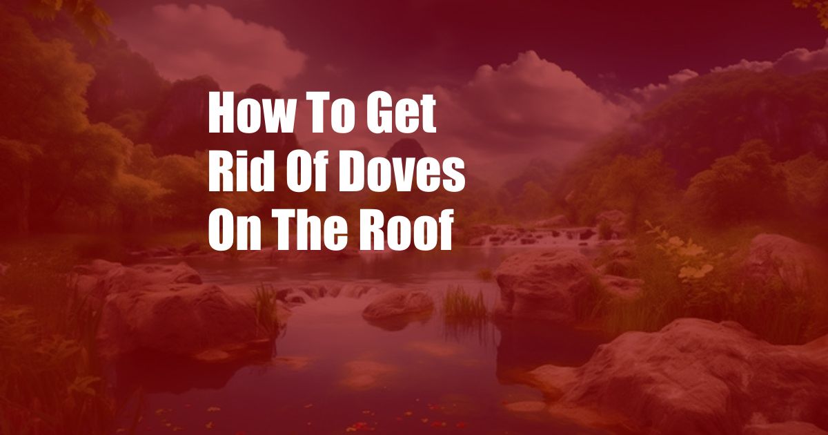 How To Get Rid Of Doves On The Roof