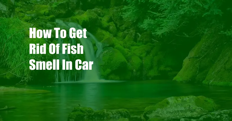 How To Get Rid Of Fish Smell In Car