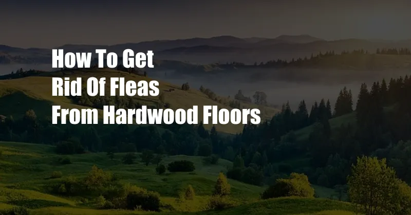 How To Get Rid Of Fleas From Hardwood Floors