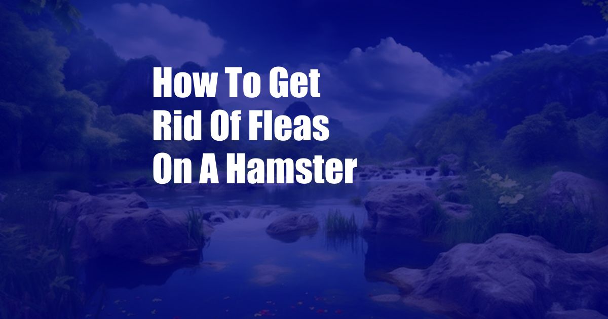 How To Get Rid Of Fleas On A Hamster