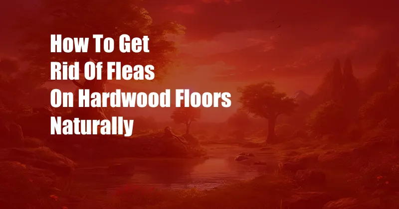 How To Get Rid Of Fleas On Hardwood Floors Naturally