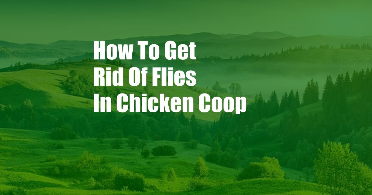 How To Get Rid Of Flies In Chicken Coop