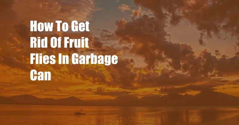 How To Get Rid Of Fruit Flies In Garbage Can