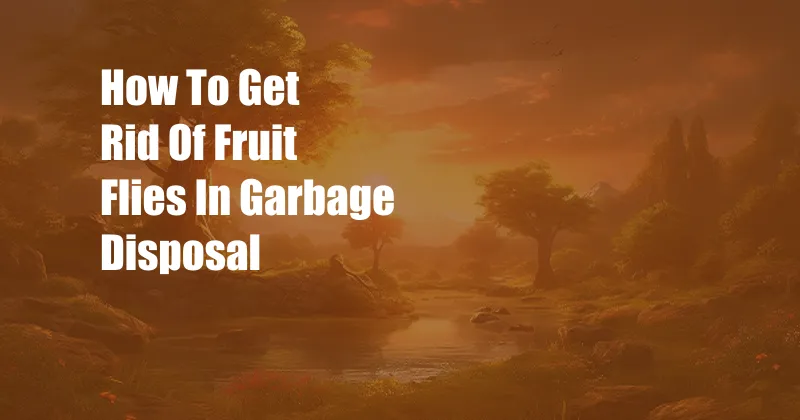 How To Get Rid Of Fruit Flies In Garbage Disposal