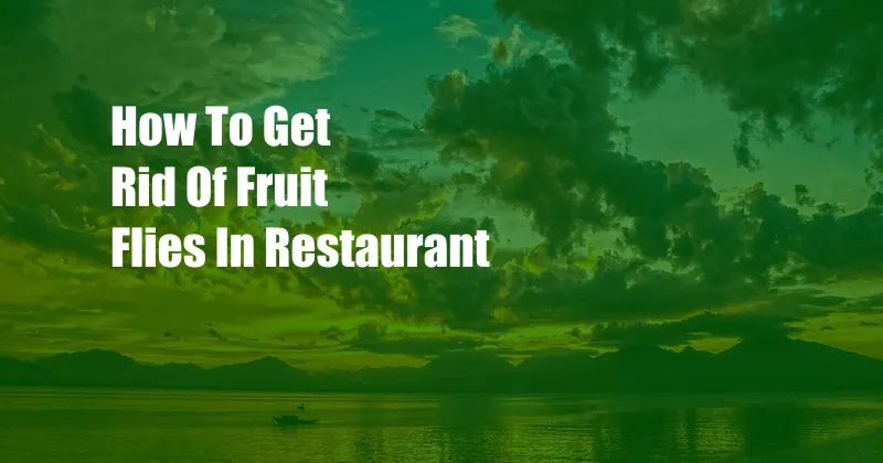 How To Get Rid Of Fruit Flies In Restaurant