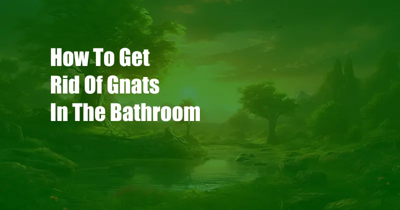 How To Get Rid Of Gnats In The Bathroom