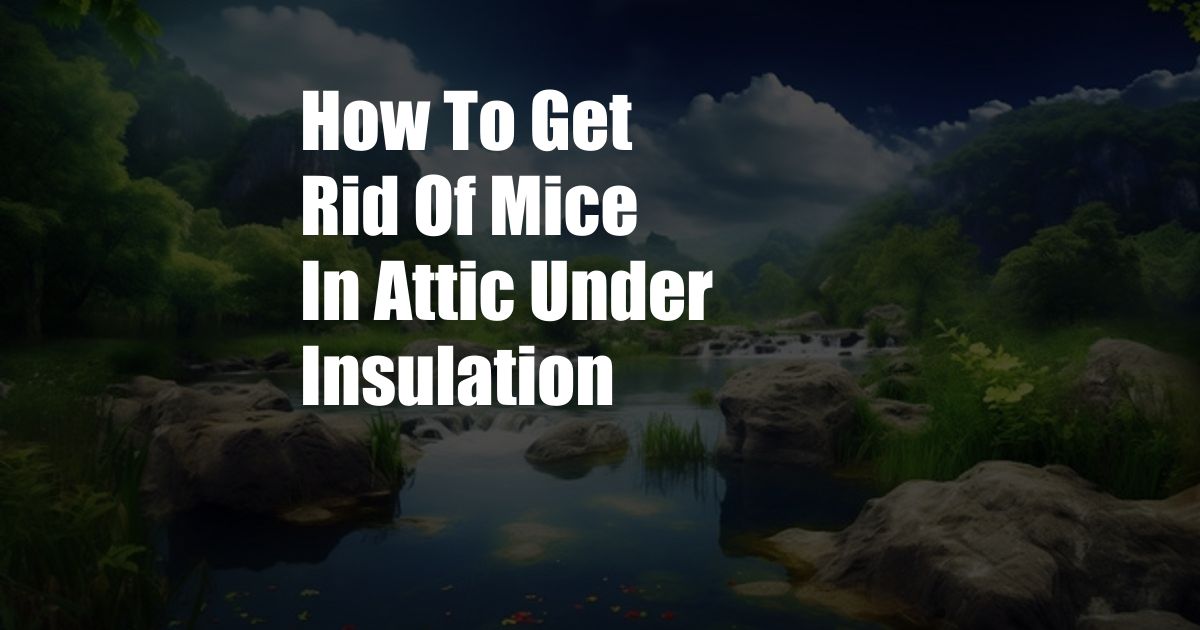 How To Get Rid Of Mice In Attic Under Insulation