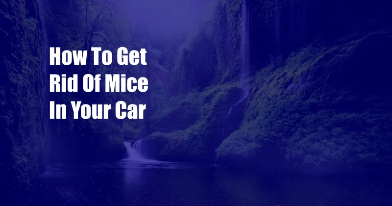 How To Get Rid Of Mice In Your Car