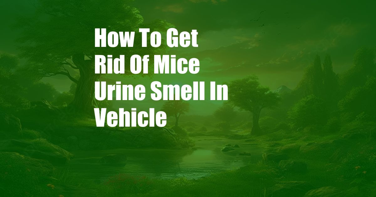 How To Get Rid Of Mice Urine Smell In Vehicle