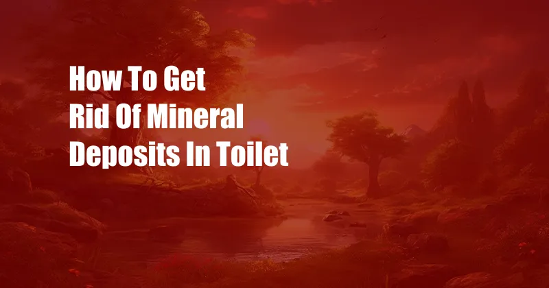 How To Get Rid Of Mineral Deposits In Toilet