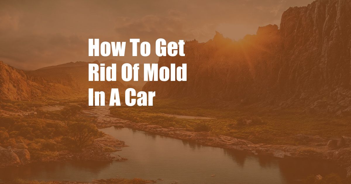 How To Get Rid Of Mold In A Car