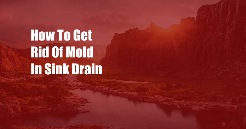 How To Get Rid Of Mold In Sink Drain