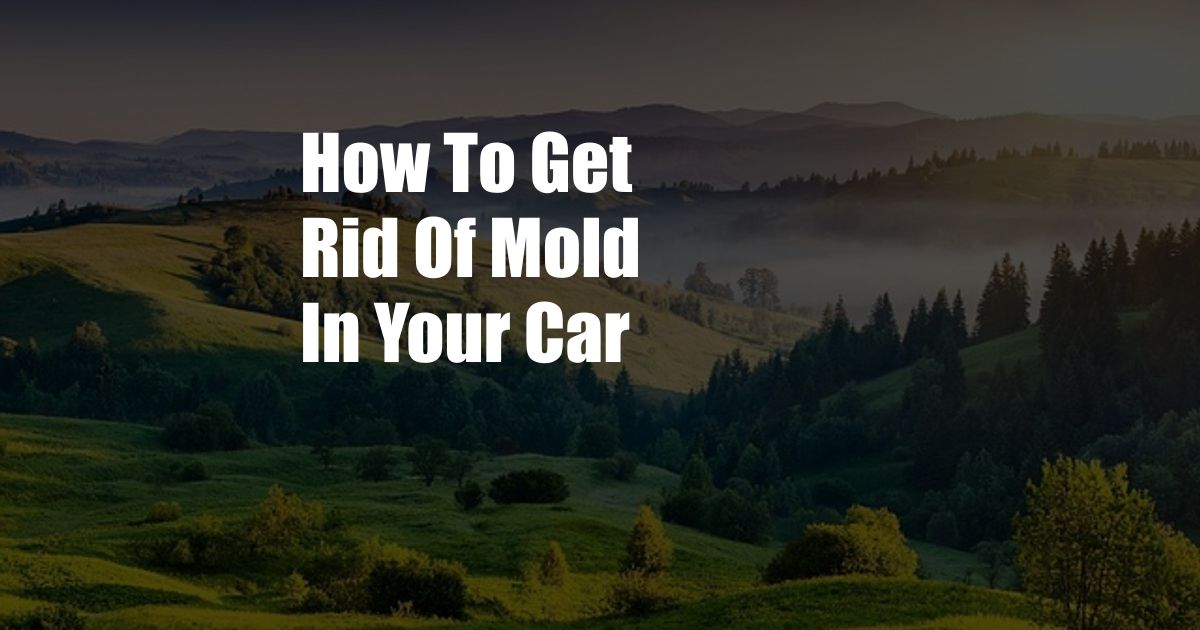 How To Get Rid Of Mold In Your Car