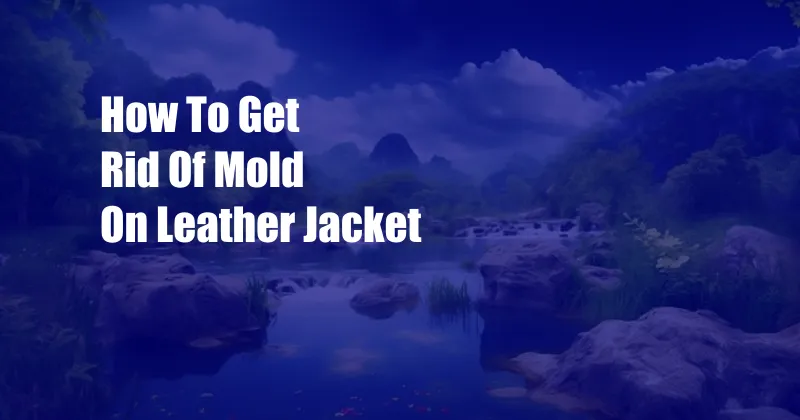 How To Get Rid Of Mold On Leather Jacket