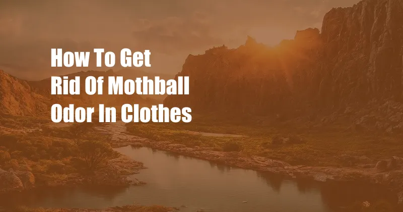 How To Get Rid Of Mothball Odor In Clothes