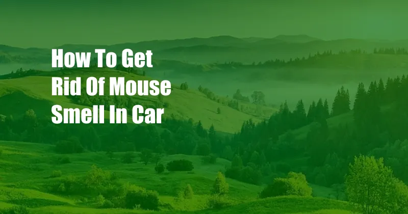 How To Get Rid Of Mouse Smell In Car