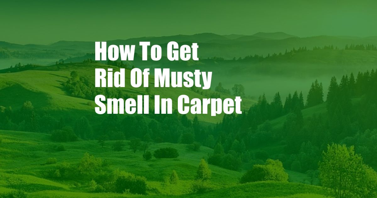 How To Get Rid Of Musty Smell In Carpet