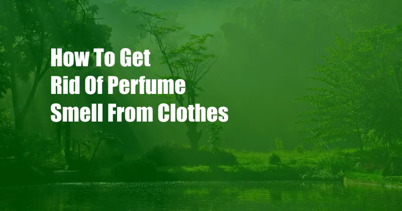 How To Get Rid Of Perfume Smell From Clothes
