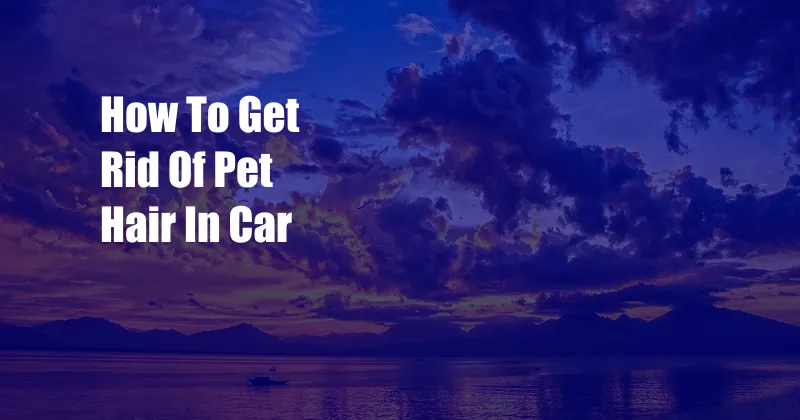 How To Get Rid Of Pet Hair In Car