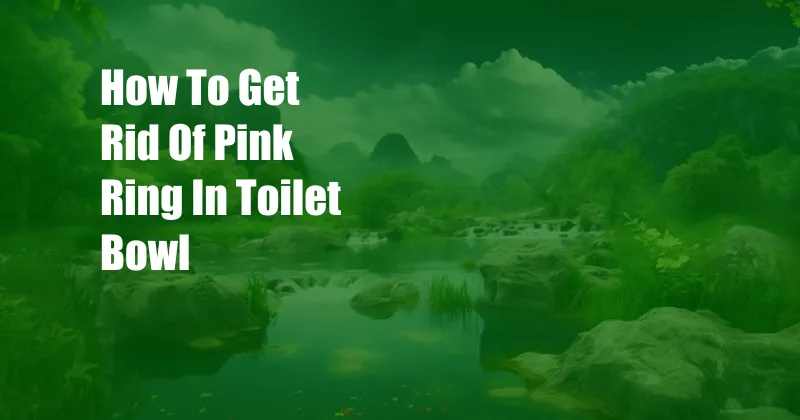 How To Get Rid Of Pink Ring In Toilet Bowl