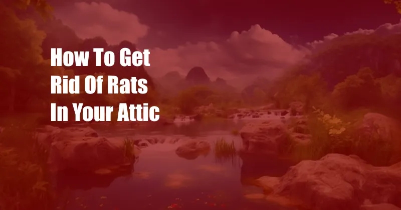 How To Get Rid Of Rats In Your Attic