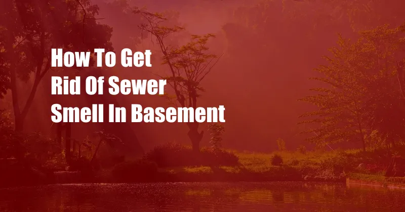 How To Get Rid Of Sewer Smell In Basement