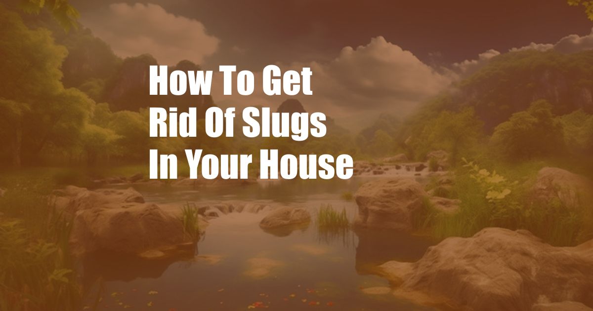 How To Get Rid Of Slugs In Your House