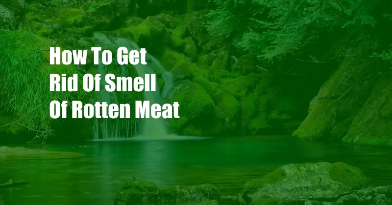 How To Get Rid Of Smell Of Rotten Meat