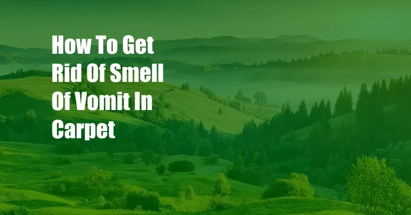 How To Get Rid Of Smell Of Vomit In Carpet