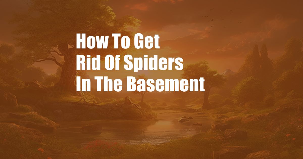 How To Get Rid Of Spiders In The Basement