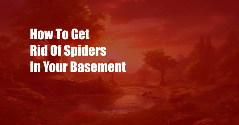 How To Get Rid Of Spiders In Your Basement