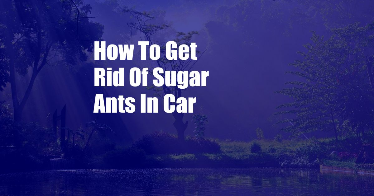 How To Get Rid Of Sugar Ants In Car