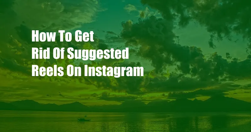 How To Get Rid Of Suggested Reels On Instagram