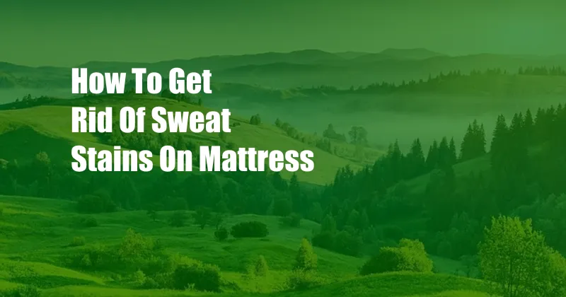 How To Get Rid Of Sweat Stains On Mattress