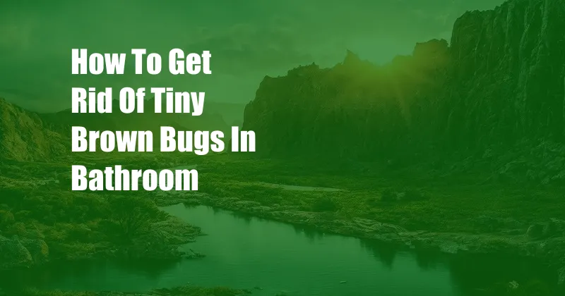 How To Get Rid Of Tiny Brown Bugs In Bathroom
