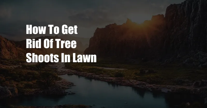 How To Get Rid Of Tree Shoots In Lawn