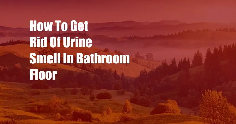 How To Get Rid Of Urine Smell In Bathroom Floor