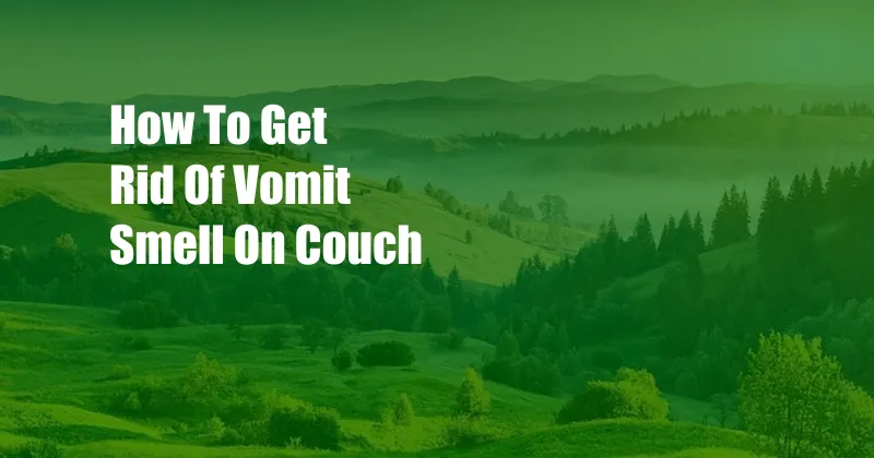 How To Get Rid Of Vomit Smell On Couch