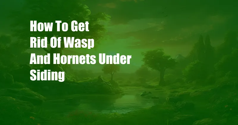 How To Get Rid Of Wasp And Hornets Under Siding