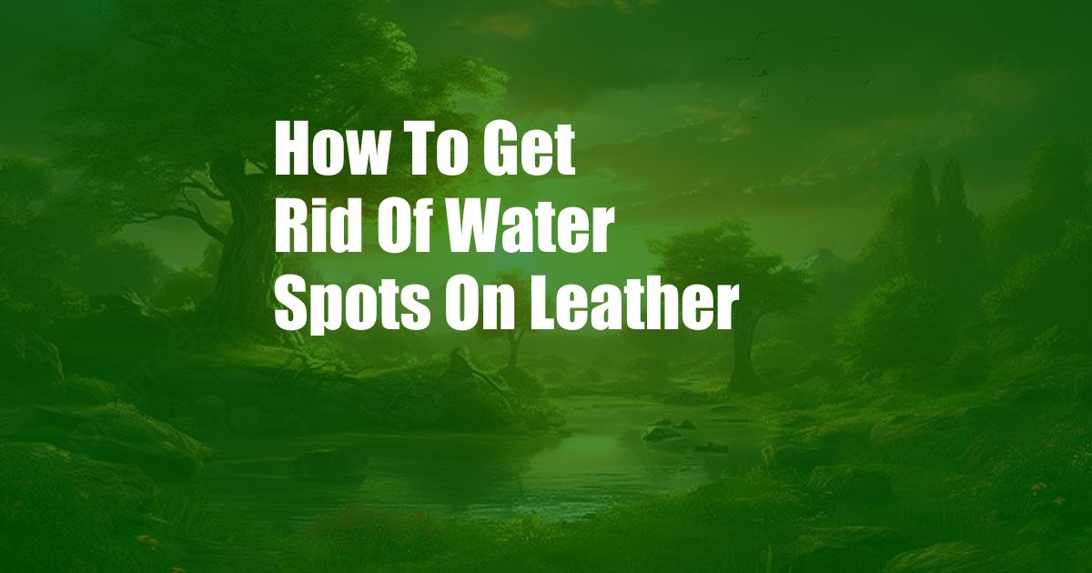 How To Get Rid Of Water Spots On Leather