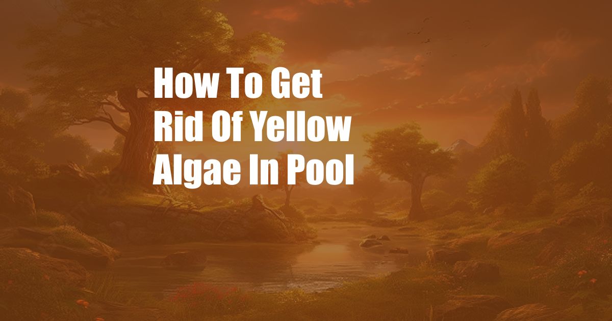How To Get Rid Of Yellow Algae In Pool
