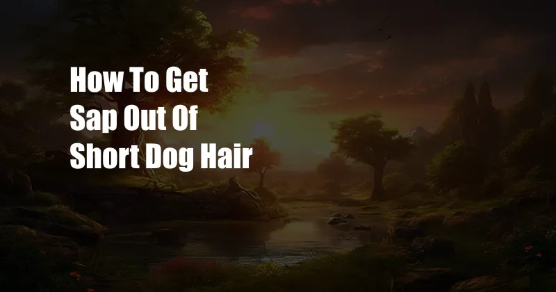 How To Get Sap Out Of Short Dog Hair