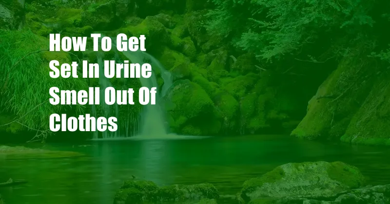 How To Get Set In Urine Smell Out Of Clothes