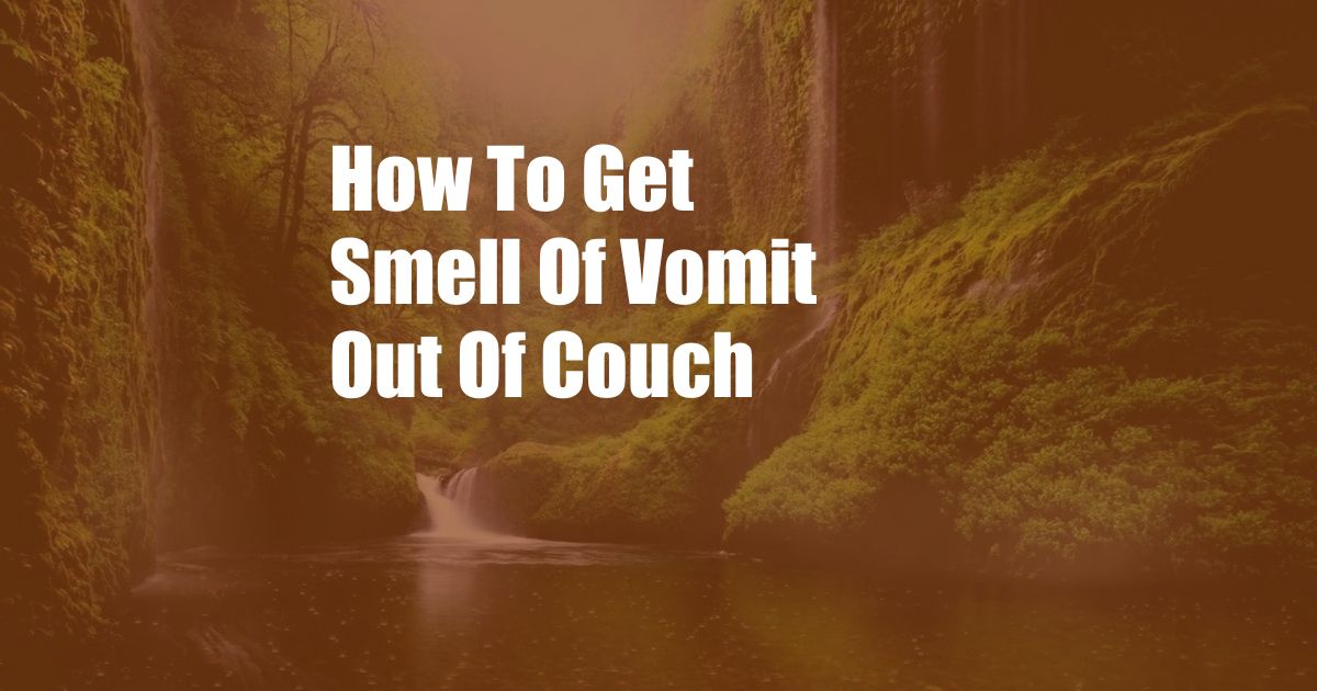 How To Get Smell Of Vomit Out Of Couch